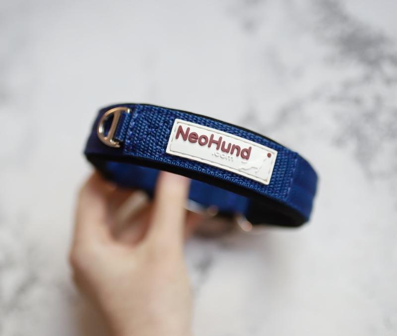 Ошейник For Motion на пряжке синий/чёрный, ширина 3,2 см, размер 44-54 см