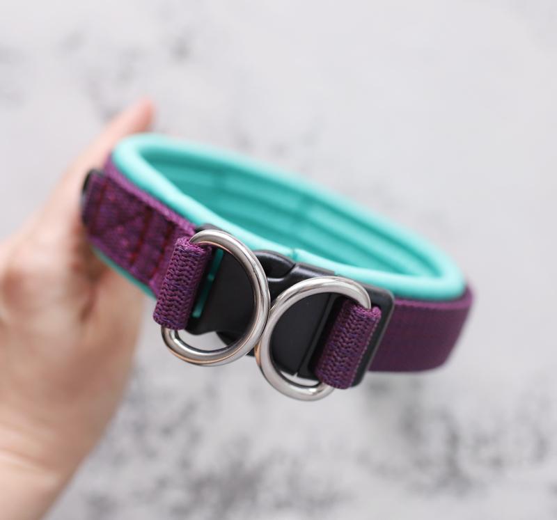 Ошейник Quick на быстрой застёжке (два полукольца), слива/мята, ширина 3,5 см, размер 37-42 см