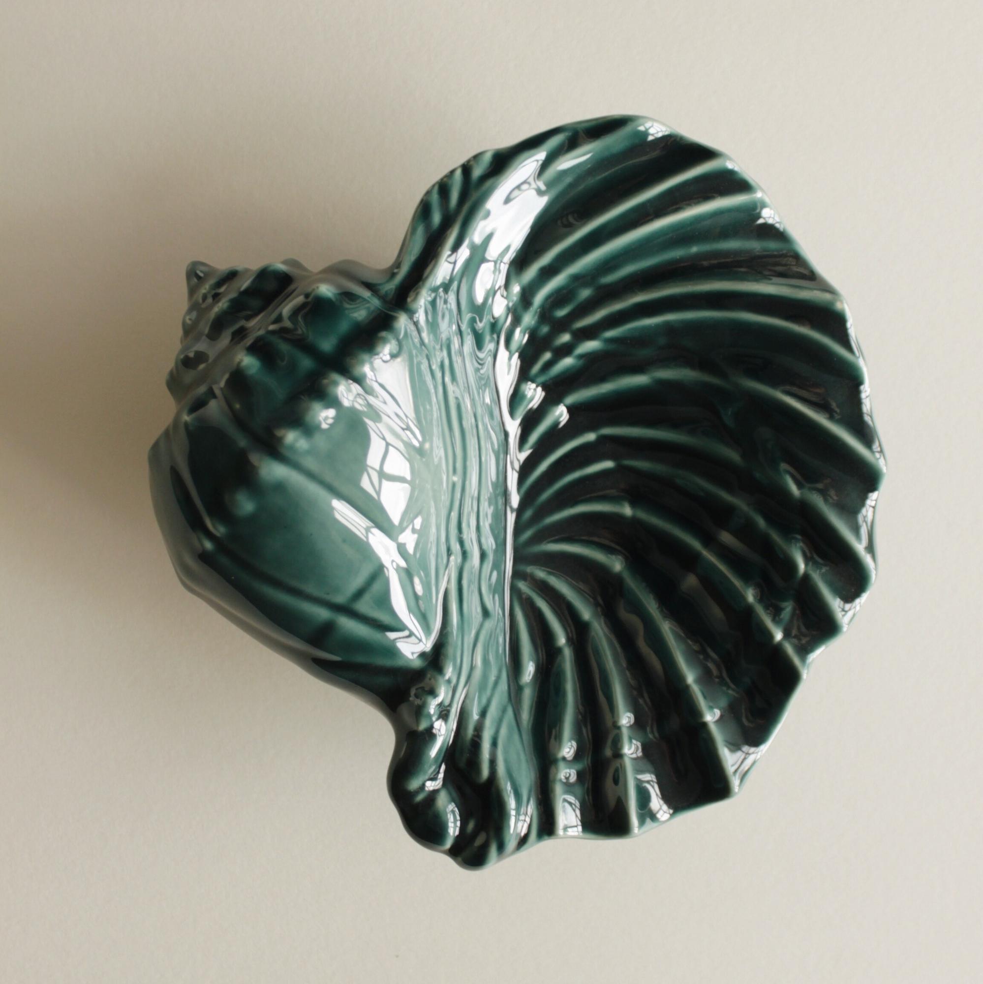 Ракушка «Морская фигура на месте замри»