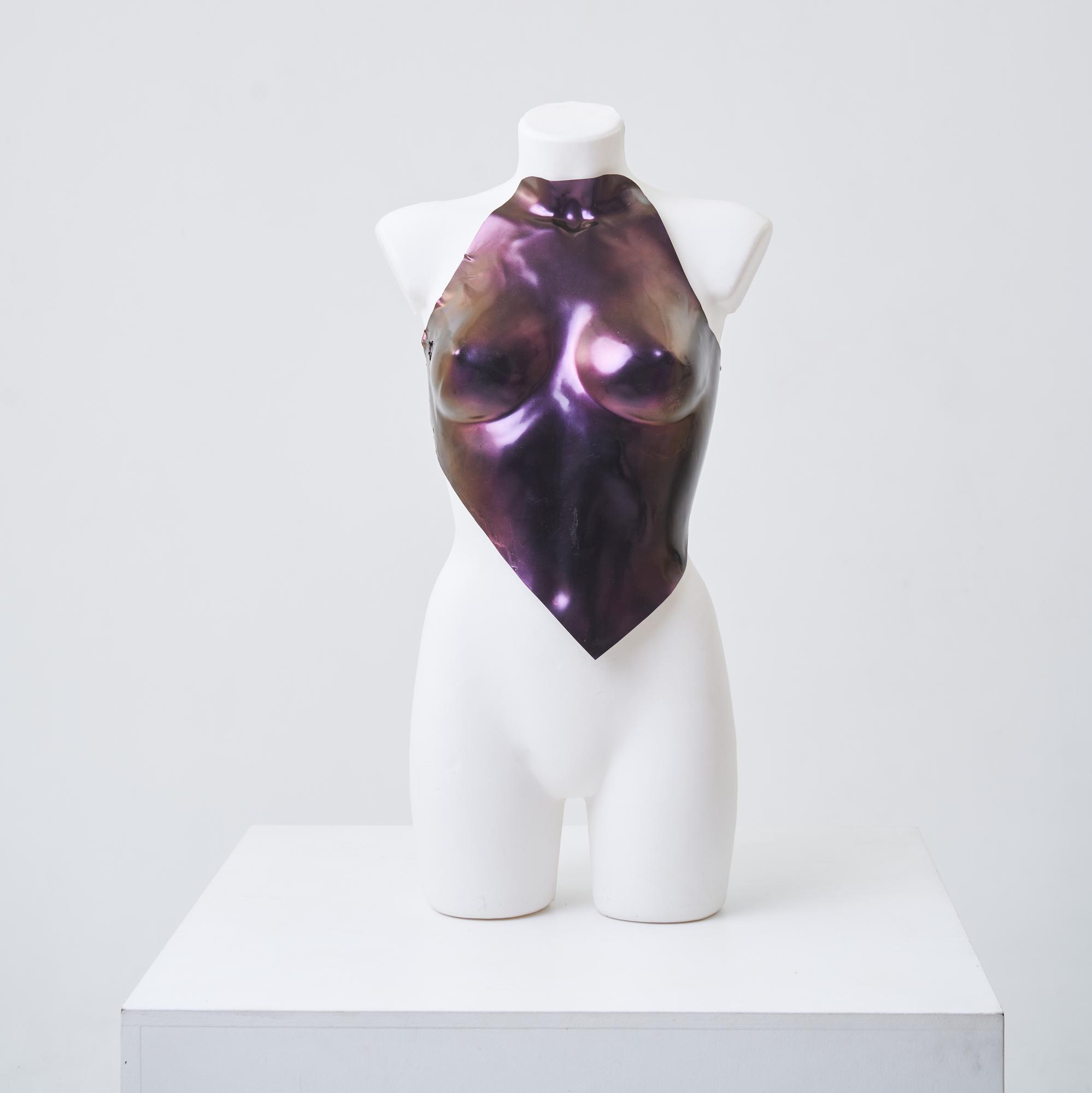 Corset top Irridescent