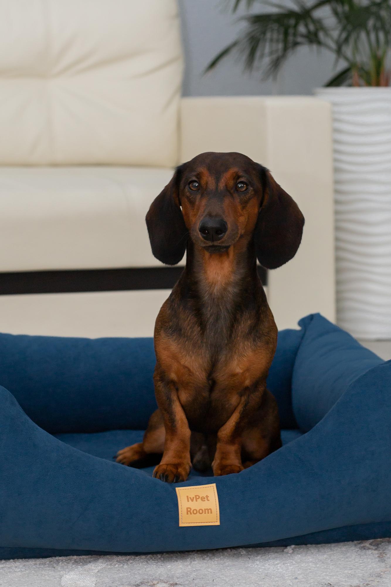 Лежанка с бортом Comfort IvPet