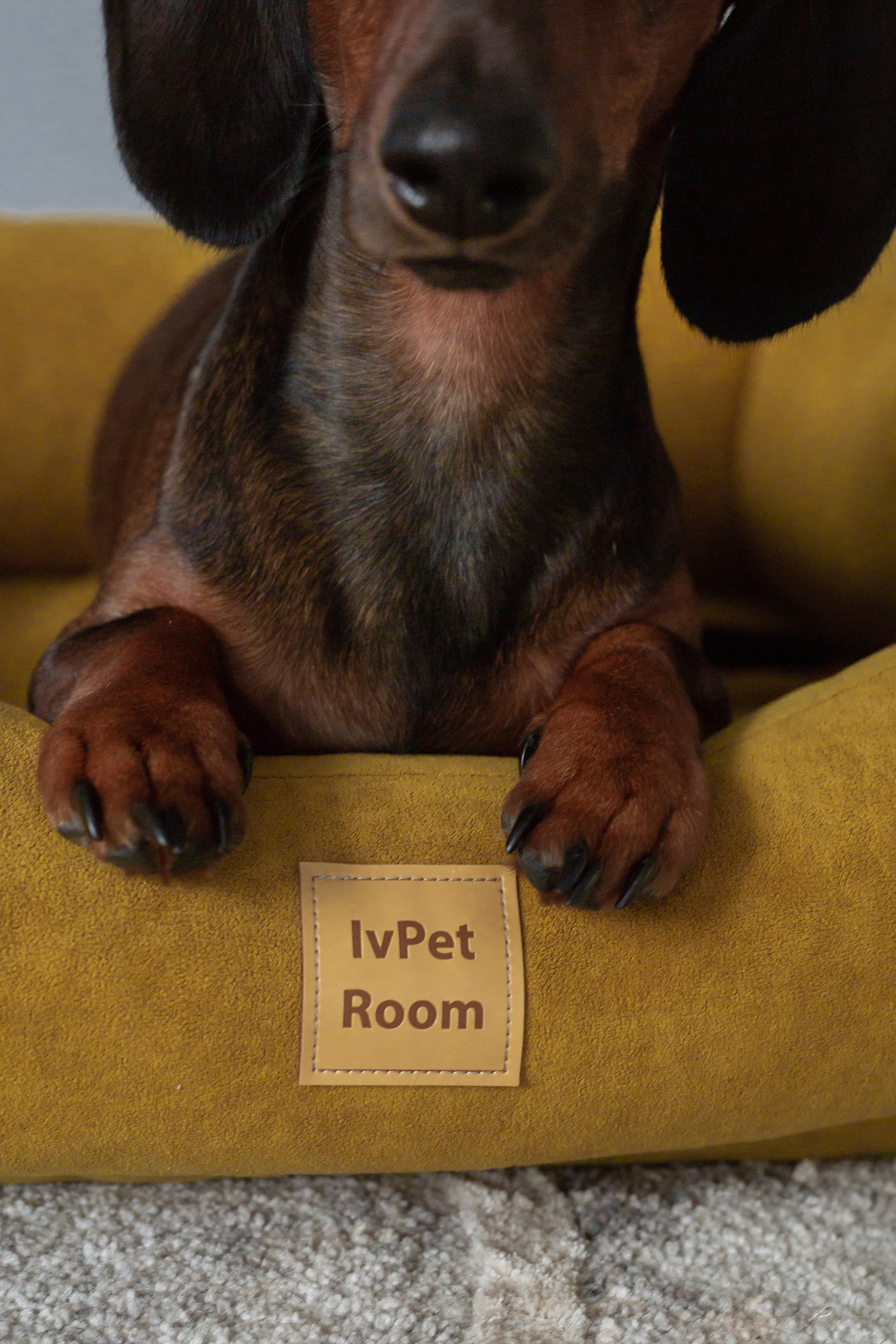 Чехол для лежанки Comfort IvPet