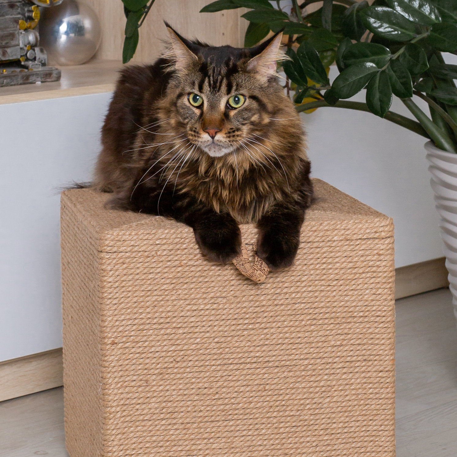 Пуф-когтеточка IvPet