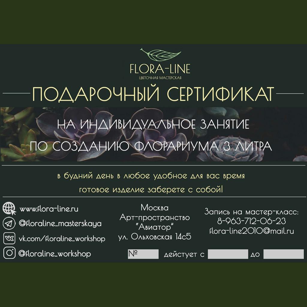Сертификат на индивидуальный мастер класс по созданию флорариума 3 литра