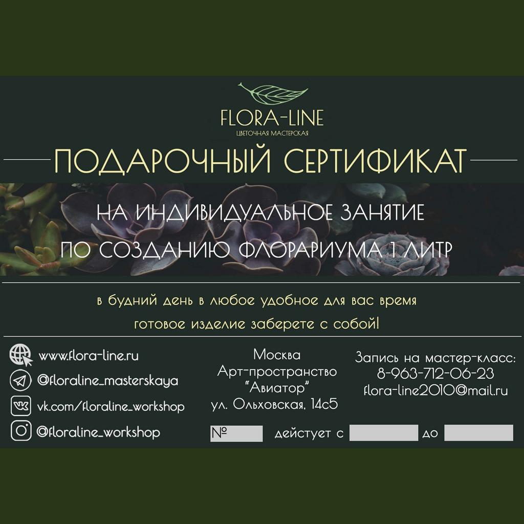 Сертификат на индивидуальный мастер-класс по созданию флорариума 1 литр