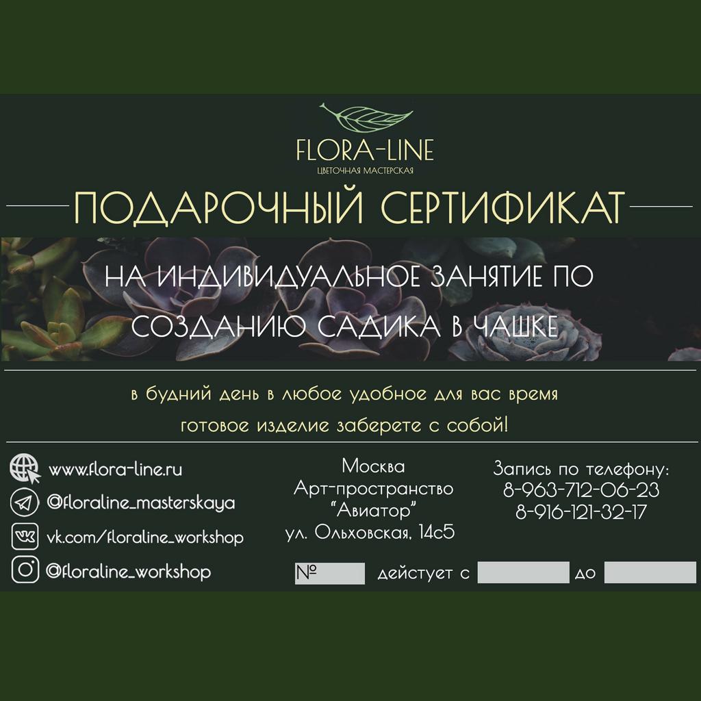Сертификат на индивидуальный мастер-класс по созданию флорариума - садика в чашке