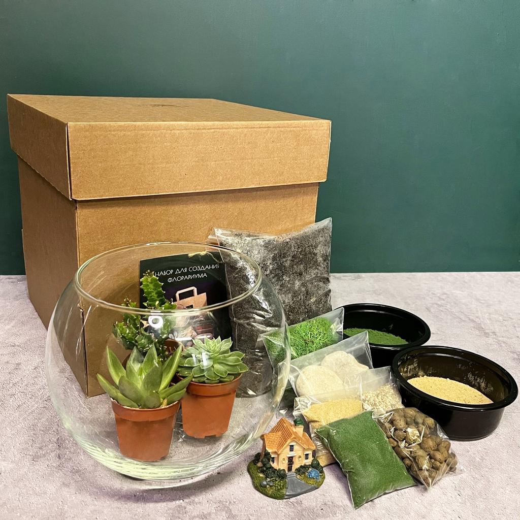 Набор для создания флорариума 3 литра