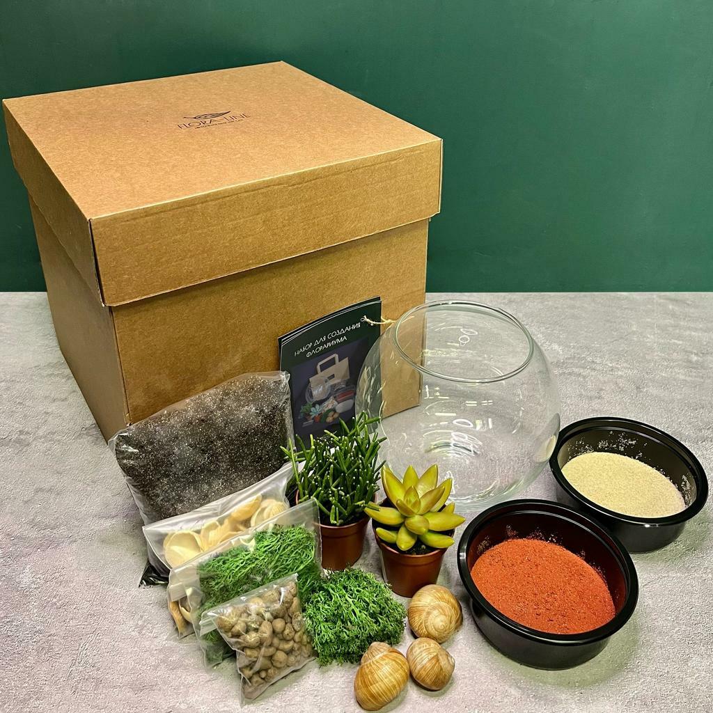 Набор для создания флорариума 2 литра