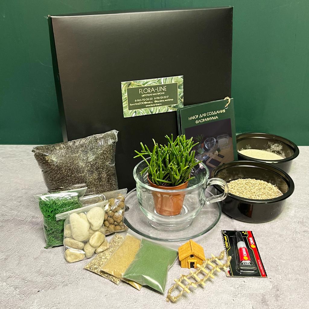 Набор для создания флорариума - садика в чашке