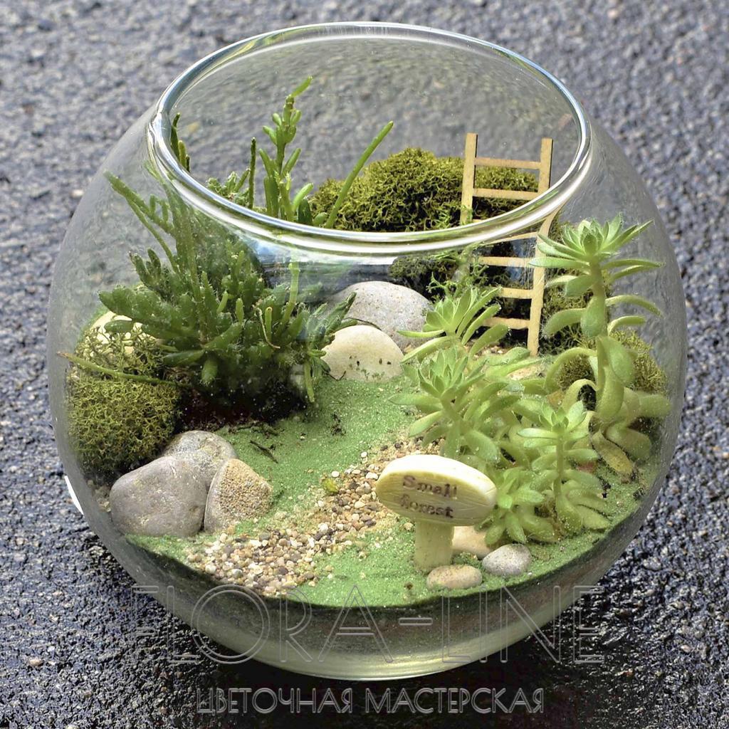 Флорариум "Таинственный сад" 2 литра