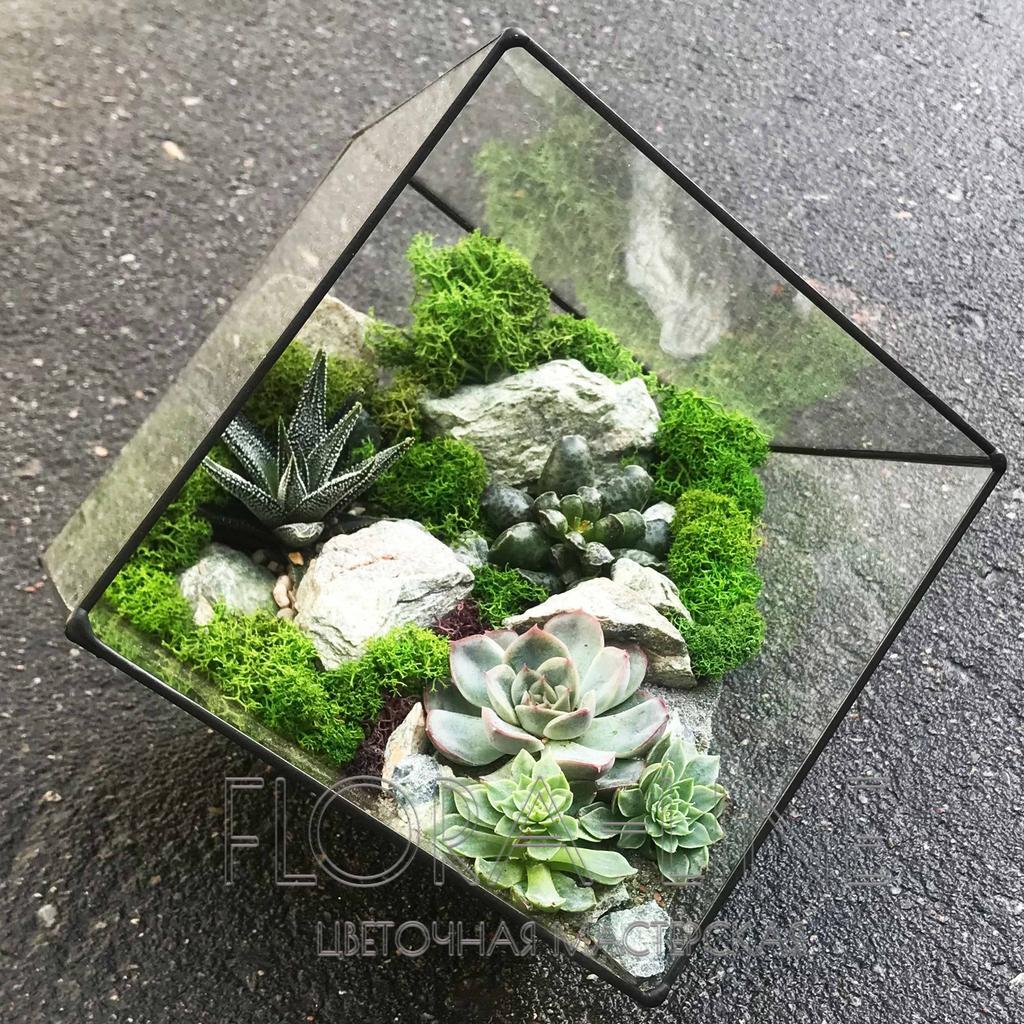 Флорариум геометрический "Холмы Исландии"