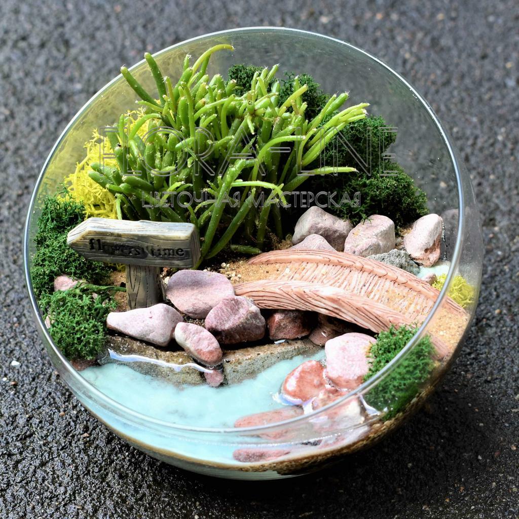 Флорариум с рипсалисом "Ручей" 1 литр