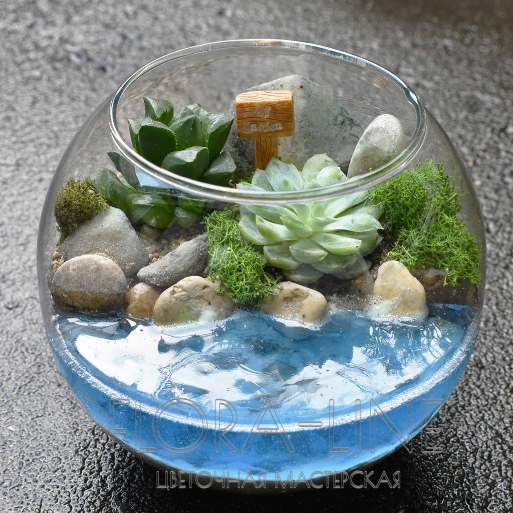 Флорариум "У воды" 2 литра