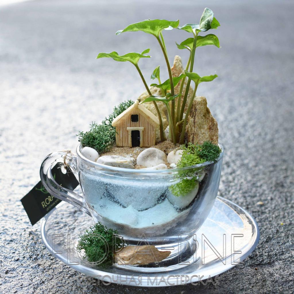 Мини-садик в чашке "Рыбацкий домик"