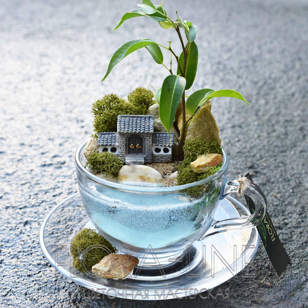 Мини-садик в чашке "Ёдзю"