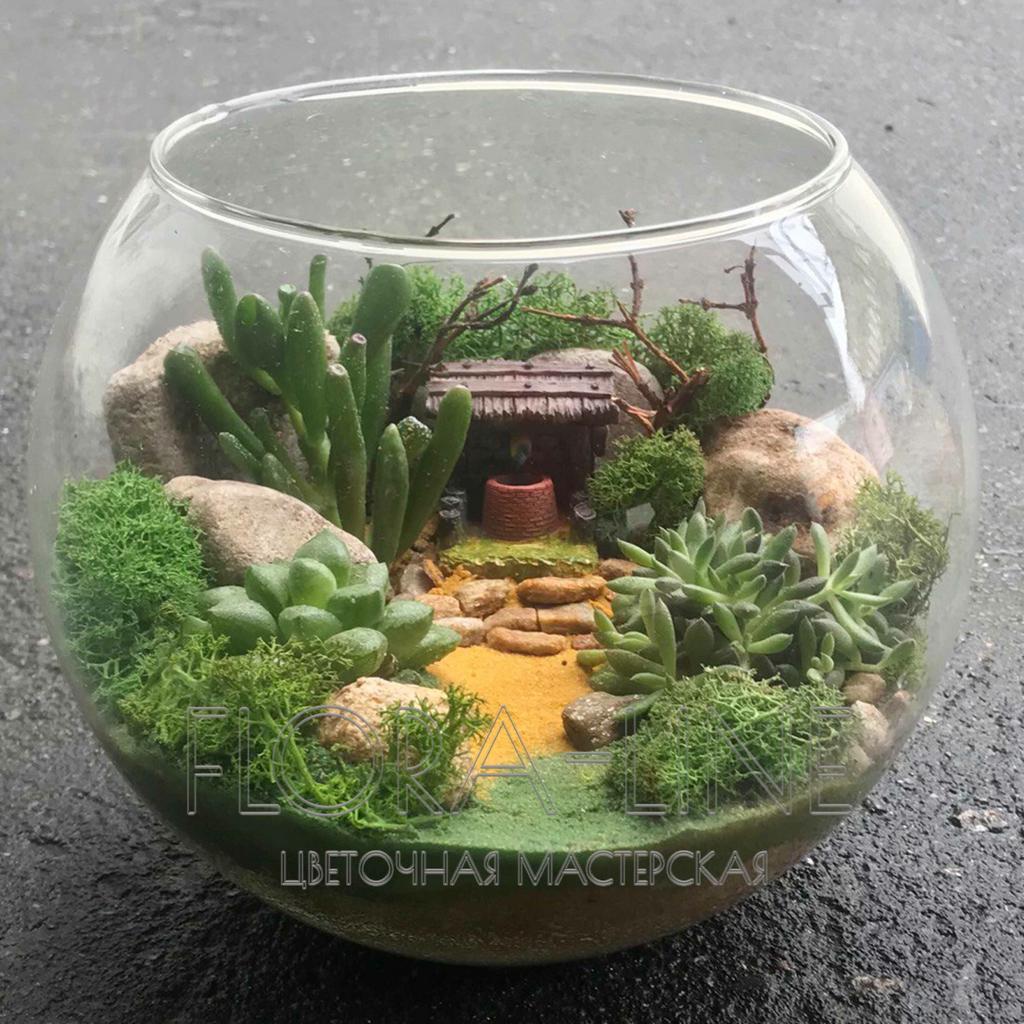 Флорариум "Колодец в оазисе" 3 литра