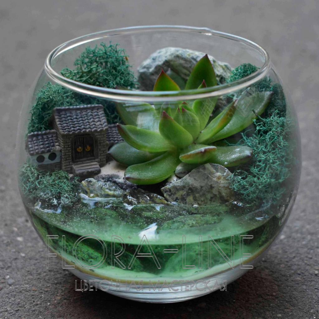 Флорариум "Небесные Ворота в Китае" 1 литр