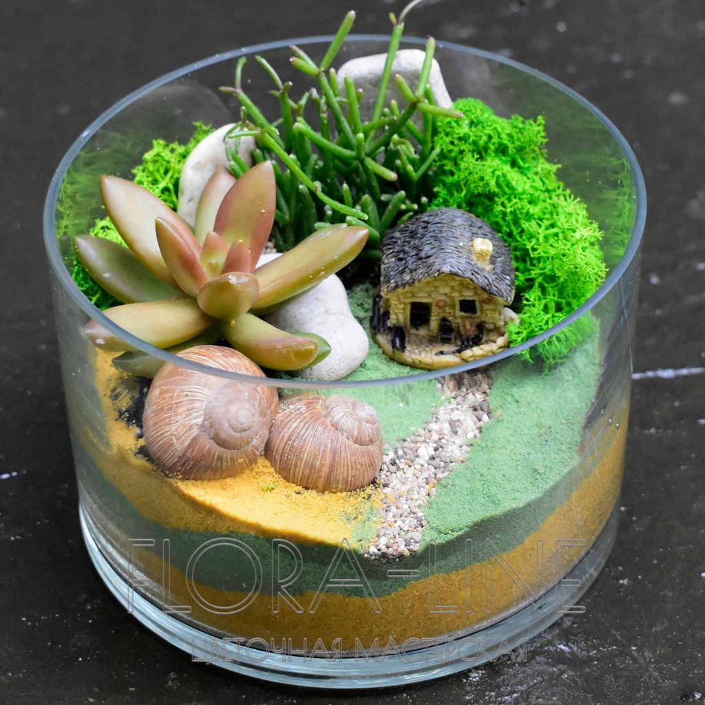 Флорариум "Ракушка" 2 литра
