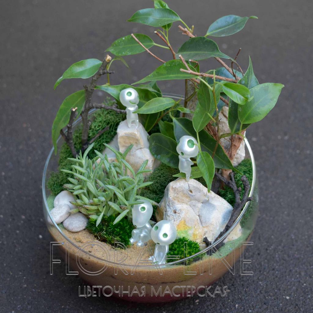 Флорариум "Духи леса" 2 литра