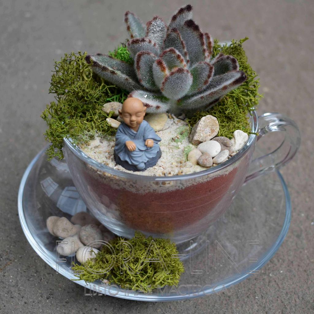 Мини-садик в чашке "Хатха-йога"