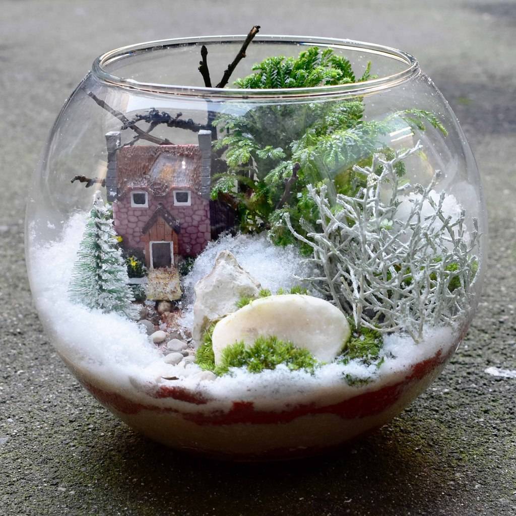 Флорариум 3 литра "Как в английском сериале"