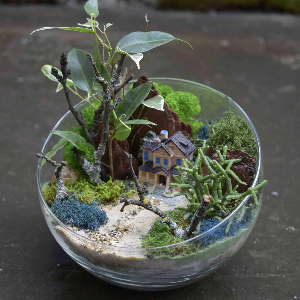 Флорариум "Новый Орлеан" 2 литра