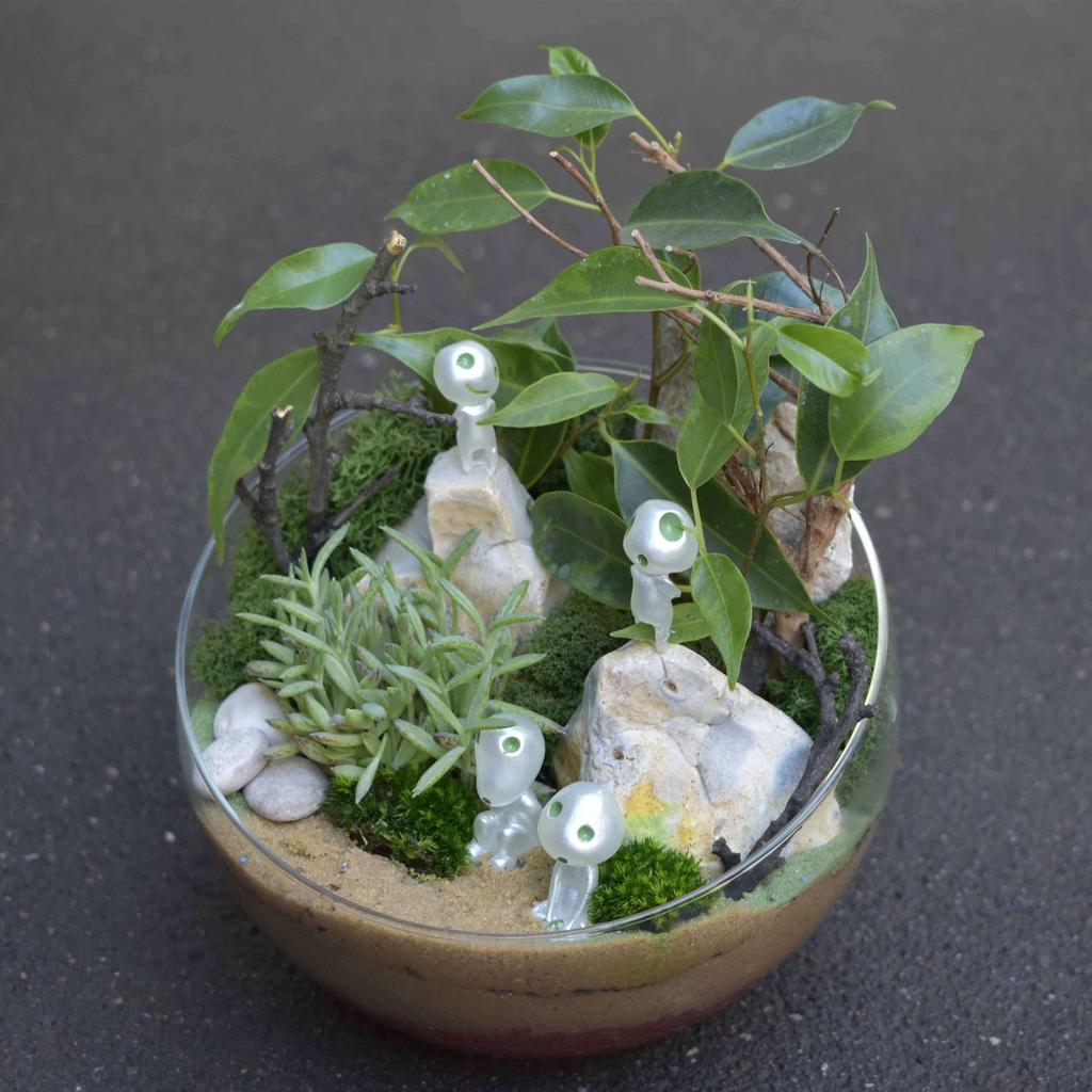 Флорариум "Духи леса" 2 литра