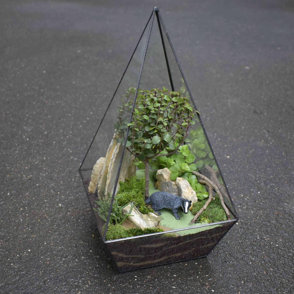Флорариум геометрический "Барсук"