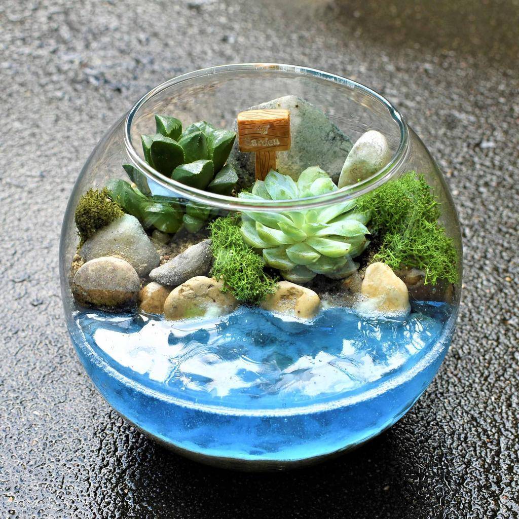 Флорариум "У воды" 2 литра