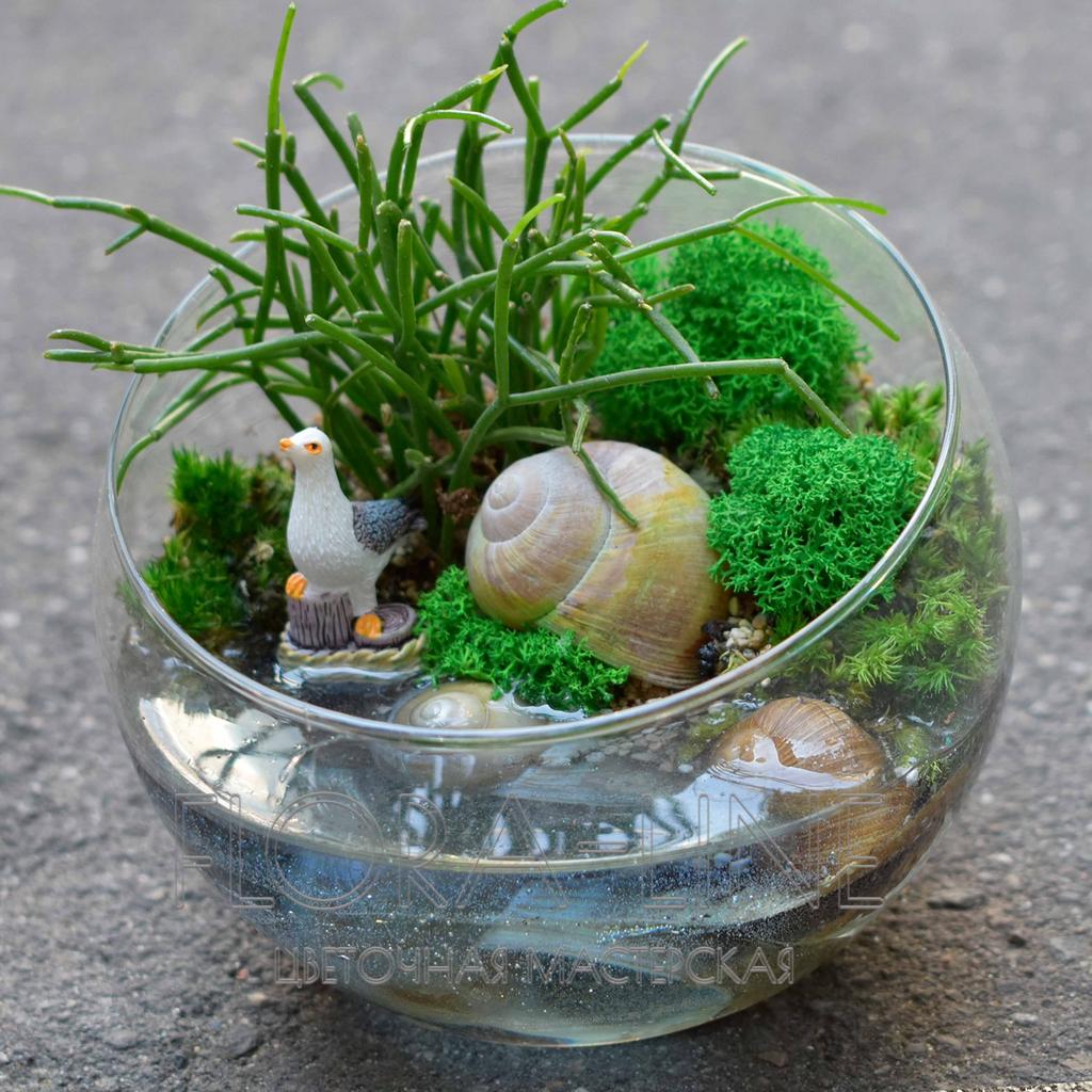 Флорариум "Чайка" 1 литр