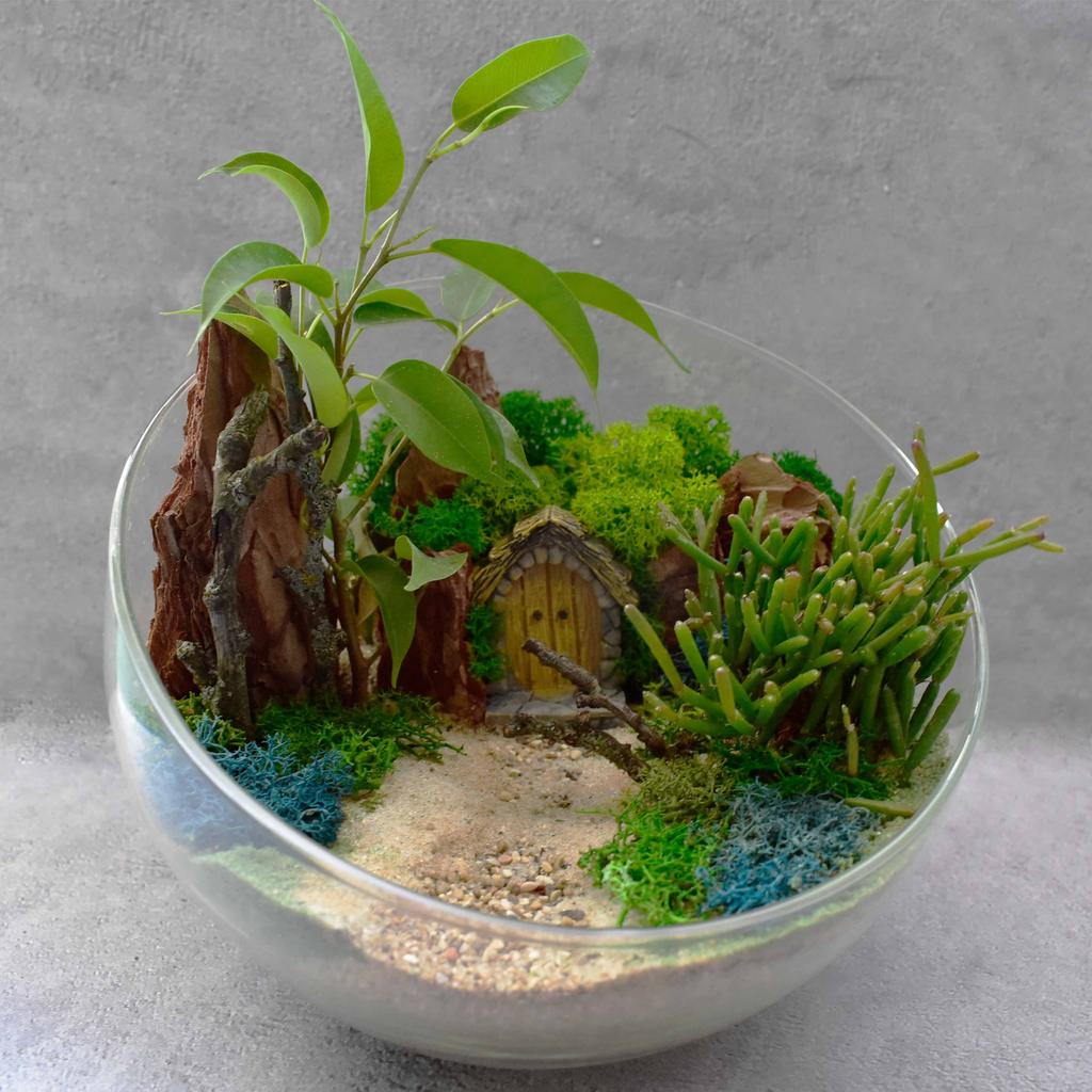 Флорариум "По дороге в Ланкр" 2 литра