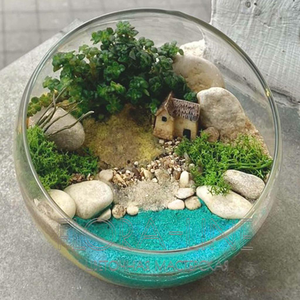 Флорариум "Пляж Уитби" 1 литр