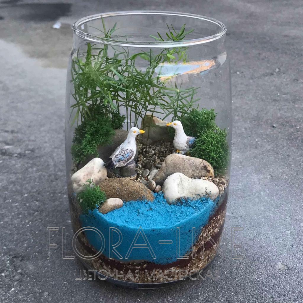 Флорариум "Кусочек пляжа в банке" 1 литр