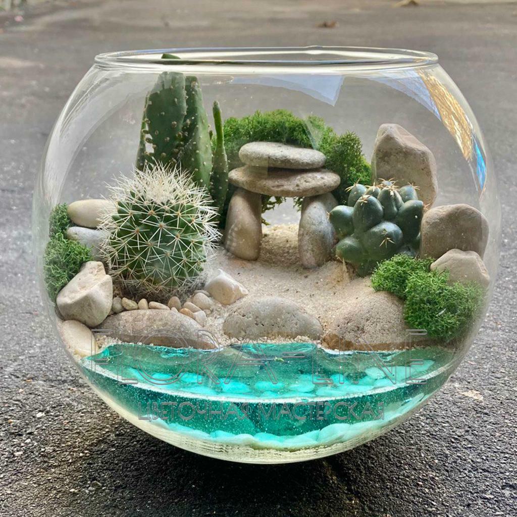 Флорариум "Пляж в Мексике Параисо" 3 литра