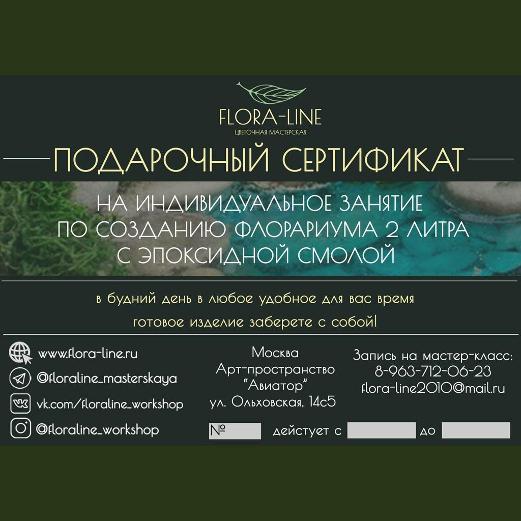 Сертификат на индивидуальный мастер-класс по созданию флорариума 2 литра с эпоксидной смолой
