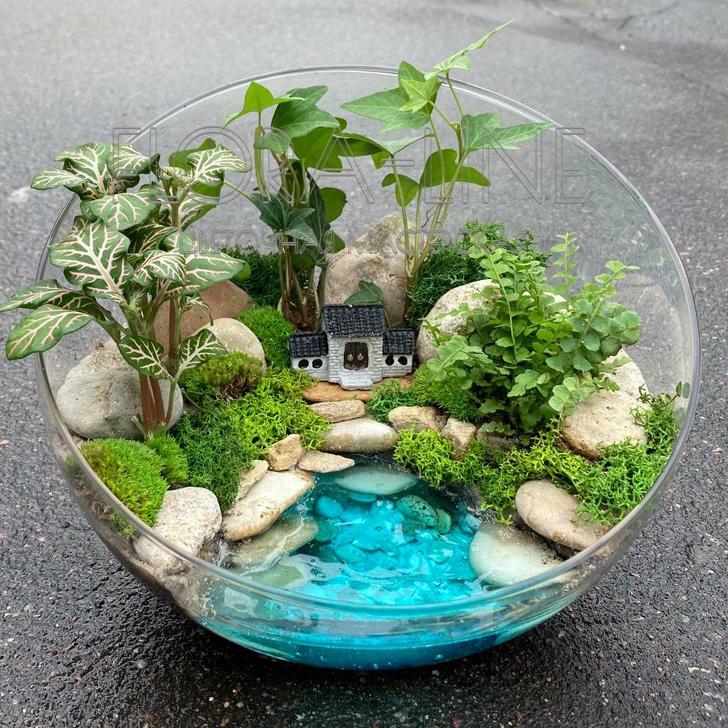 Флорариум "Путешествие к центру земли" 5 литров