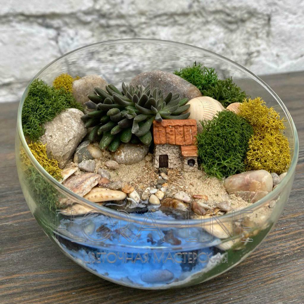 Флорариум "Коттедж Ракушка" 1 литр