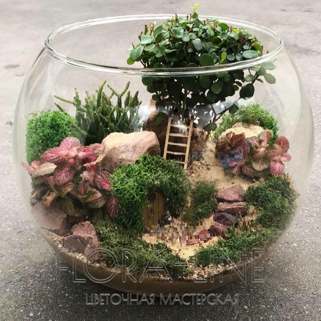 Флорариум 5 литров "Нора под холмом"