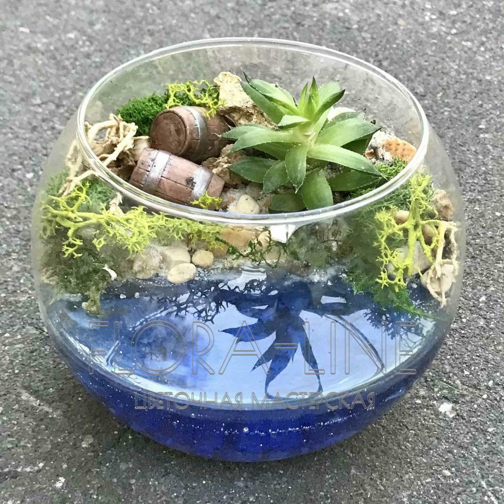 Флорариум "Забытые сокровища" 1 литр