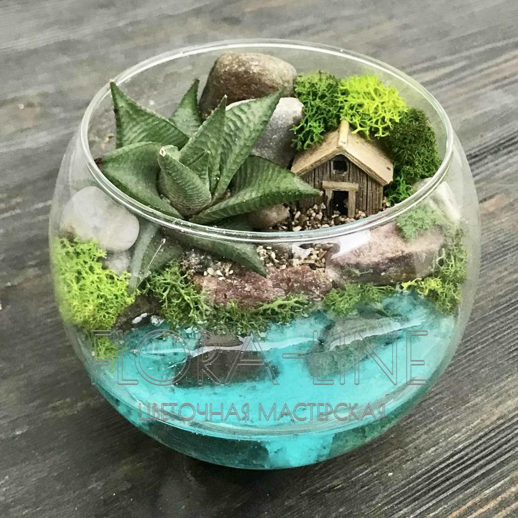 Флорариум "Лагуна" 1 литр