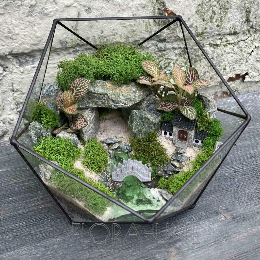 Флорариум геометрический "У пещеры"