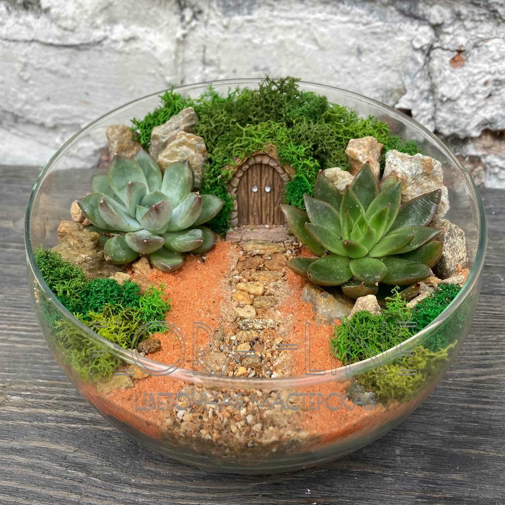 Флорариум "Дом низушка" 2 литра