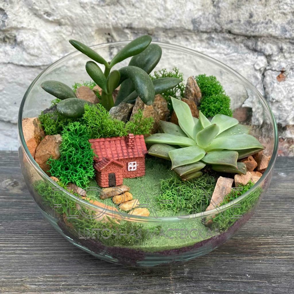 Флорариум "В провинции Португалии" 2 литра