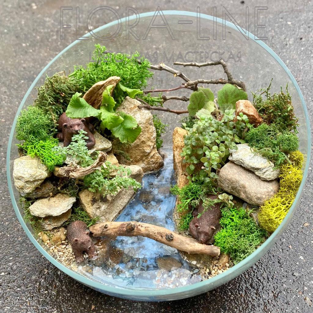 Флорариум 5 литров "Три медведя"