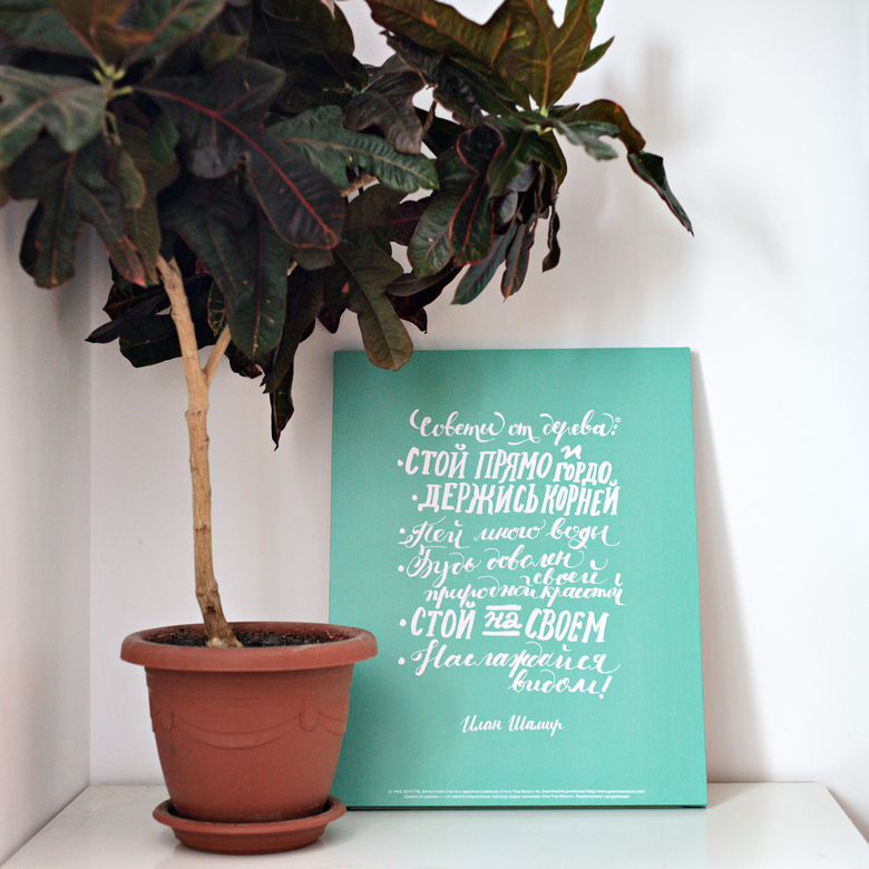 Холст «Советы от дерева»