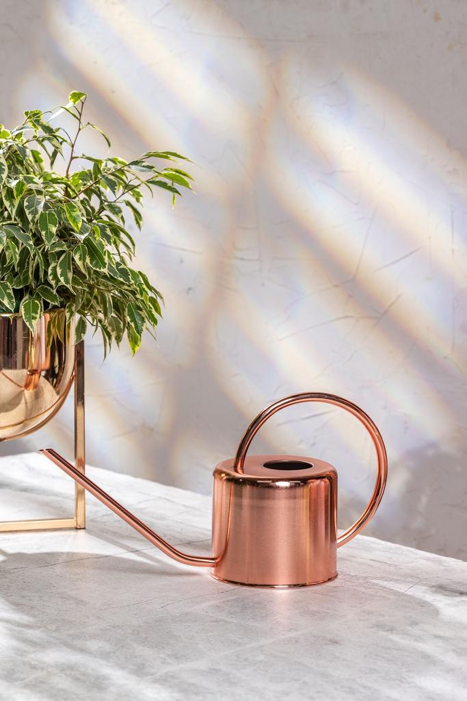 Лейка Англия Розовое золото