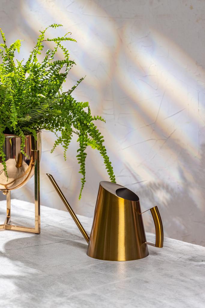 Лейка Дания Золото