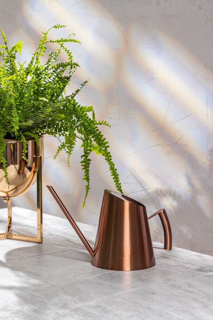 Лейка Дания Бронза