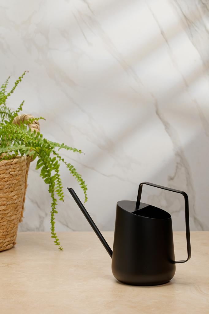 Лейка Осака