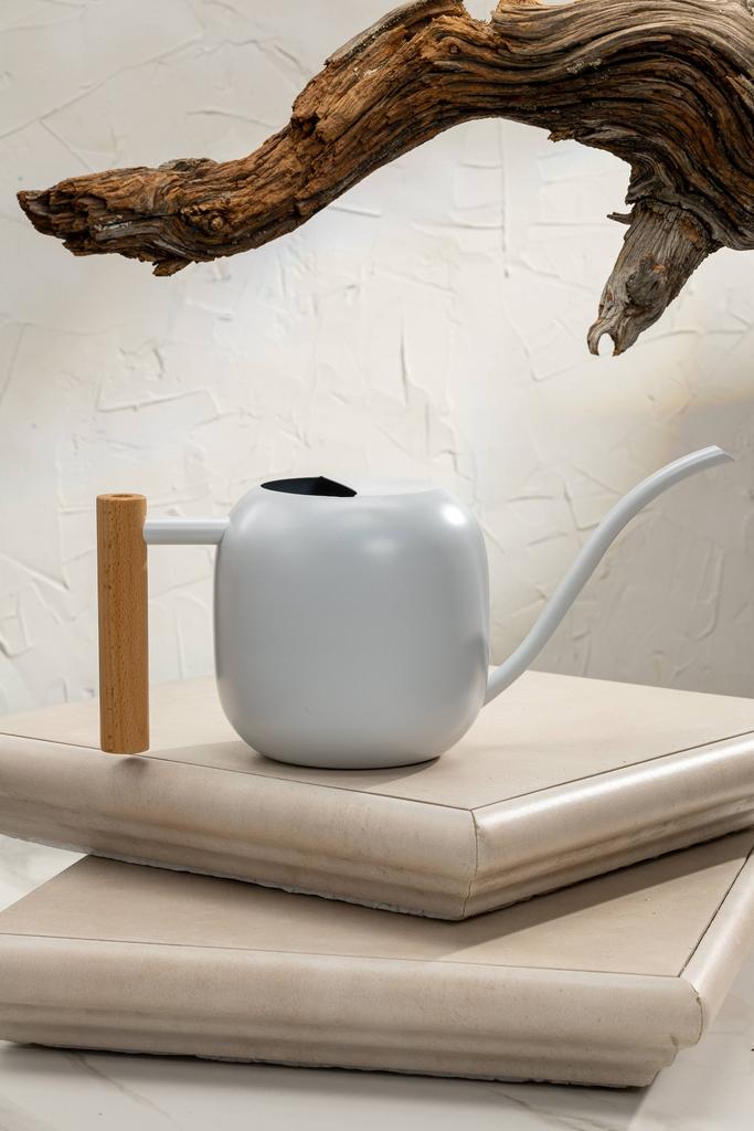 Лейка Карлсберг Белая